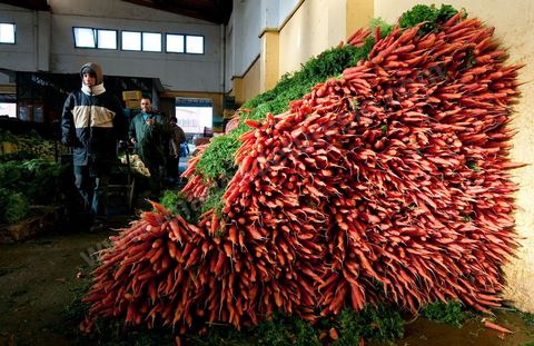 Vendeur et étales de carottes à la Halle aux fruits et légumes du marché de gros de Tunis à El Mourouj