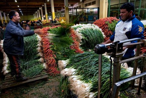 Etale et vendeurs de oignons et carottes à la Halle aux fruits et légumes du marché de gros de Tunis à El MouroujHalle aux fruits et légumes du marché de gros de Tunis à El Mourouj