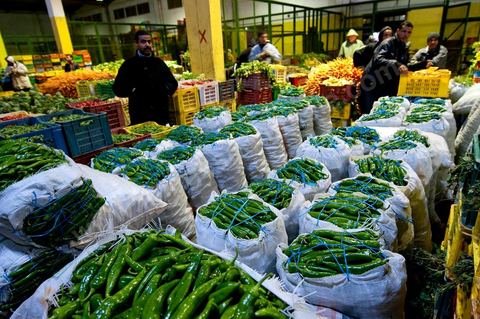 Etale et vendeurs de petits pois à la Halle aux fruits et légumes du marché de gros de Tunis à El MouroujHalle aux fruits et légumes du marché de gros de Tunis à El Mourouj