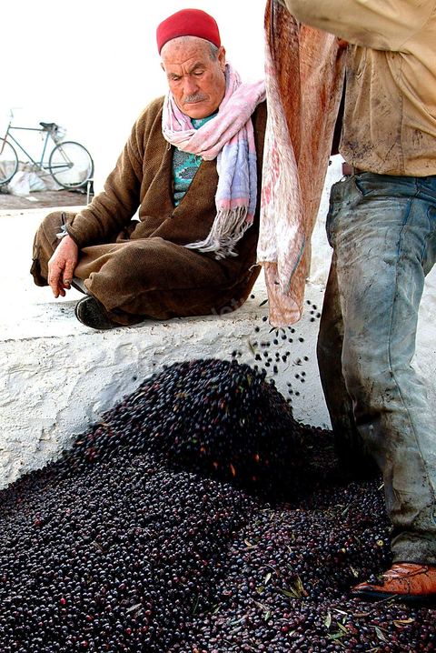 Huilerie traditionnelle - Mellita - Ile de Djerba