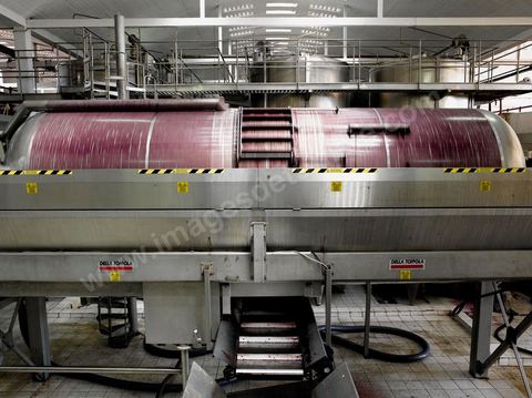 la Cave de Grombalia au Cap Bon n’a cessé d’investir pour devenir un des fleurons des Vignerons de Carthage ( UCCV ), digne des unités de vinifications les plus performantes que l’on peut voir en Europe.