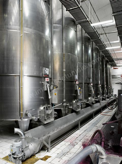 la Cave de Grombalia au Cap Bon n’a cessé d’investir pour devenir un des fleurons des Vignerons de Carthage ( UCCV ), digne des unités de vinifications les plus performantes que l’on peut voir en Europe.