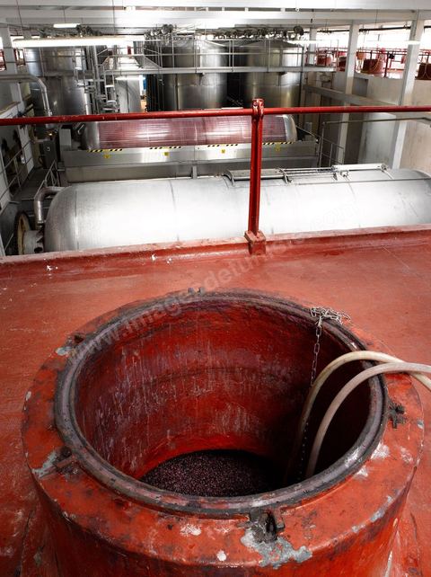 la Cave de Grombalia au Cap Bon n’a cessé d’investir pour devenir un des fleurons des Vignerons de Carthage ( UCCV ), digne des unités de vinifications les plus performantes que l’on peut voir en Europe.