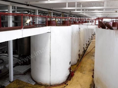 la Cave de Grombalia au Cap Bon n’a cessé d’investir pour devenir un des fleurons des Vignerons de Carthage ( UCCV ), digne des unités de vinifications les plus performantes que l’on peut voir en Europe.