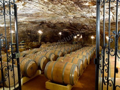 La cave de La Fontaine aux mille Amphores à Megrine, près de Tunis, est devenue un haut lieu de l’élevage et du vieillissement des vins. Il s'agit d'une cave souterraine creusée dans la roche. Les Vignerons de Carthage UCCV