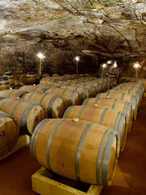 La cave de La Fontaine aux mille Amphores à Megrine, près de Tunis, est devenue un haut lieu de l’élevage et du vieillissement des vins. Il s'agit d'une cave souterraine creusée dans la roche. Les Vignerons de Carthage UCCV