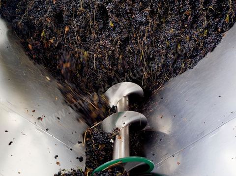 Créée en 1948, la Cave de Kélibia compte aujourd’hui 160 adhérents pour une production moyenne de 11000 hl pour 640 ha de cépage Muscat d’Alexandrie produisant la fameuse AOC Premier Cru Muscat sec de Kélibia, et environ 120 ha de Chardonnay- Grenache blanc - Ugni Blanc - Vermentino- Syrah - Grenache noir. Vignerons de Carthage UCCV