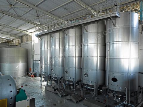 Créée en 1948, la Cave de Kélibia compte aujourd’hui 160 adhérents pour une production moyenne de 11000 hl pour 640 ha de cépage Muscat d’Alexandrie produisant la fameuse AOC Premier Cru Muscat sec de Kélibia, et environ 120 ha de Chardonnay- Grenache blanc - Ugni Blanc - Vermentino- Syrah - Grenache noir. Vignerons de Carthage UCCV