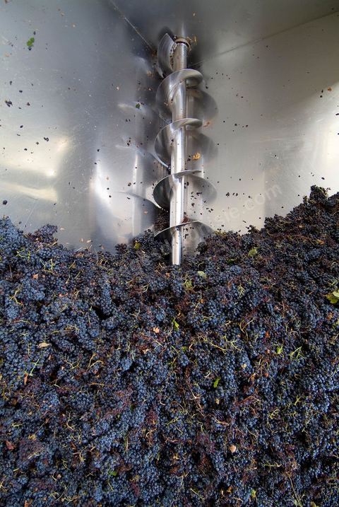 la Cave de Grombalia au Cap Bon n’a cessé d’investir pour devenir un des fleurons des Vignerons de Carthage ( UCCV ), digne des unités de vinifications les plus performantes que l’on peut voir en Europe.