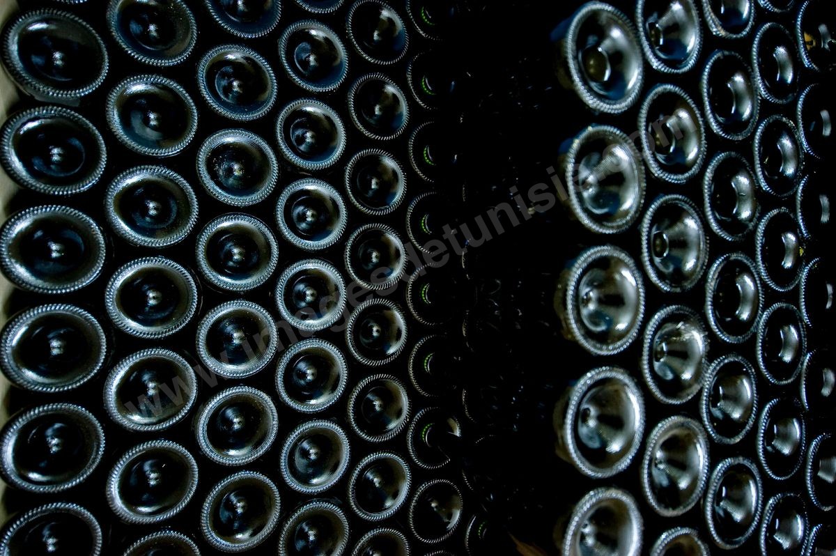DSC_1160