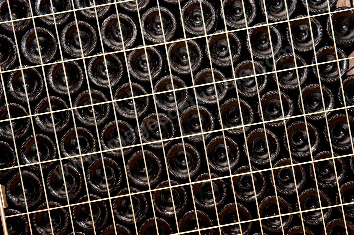DSC_1201