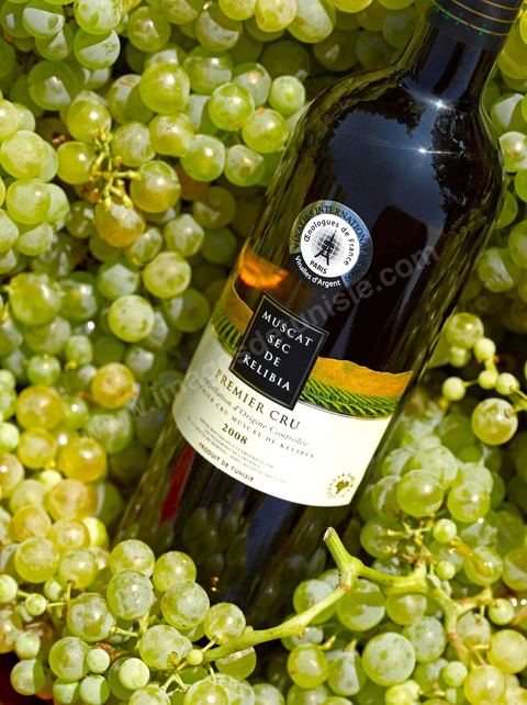 Bouteille de vin blanc de Muscat sec de Kelibia posait dans grappes de raisins blanc au coeur du domaine viticole de Kelibia