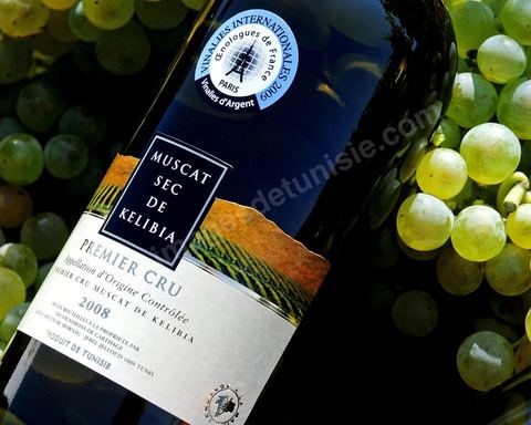 Bouteille de vin blanc de Muscat sec de Kelibia posait dans grappes de raisins blanc au coeur du domaine viticole de Kelibia