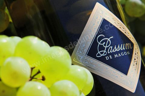 Bouteille de Muscat doux Passum posait dans grappes de raisins blanc au coeur du domaine viticole de Kelibia