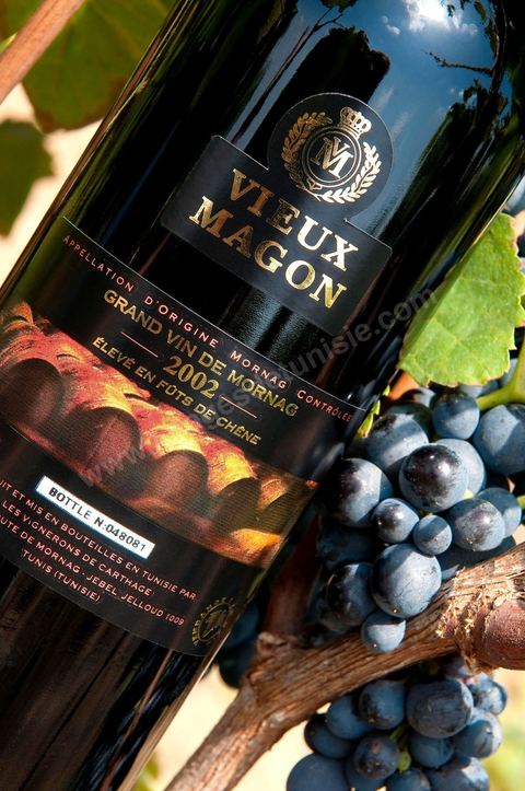 Bouteille de Vieux Magon posait sur des pieds de vignes au coeur du domaine viticole de Magon