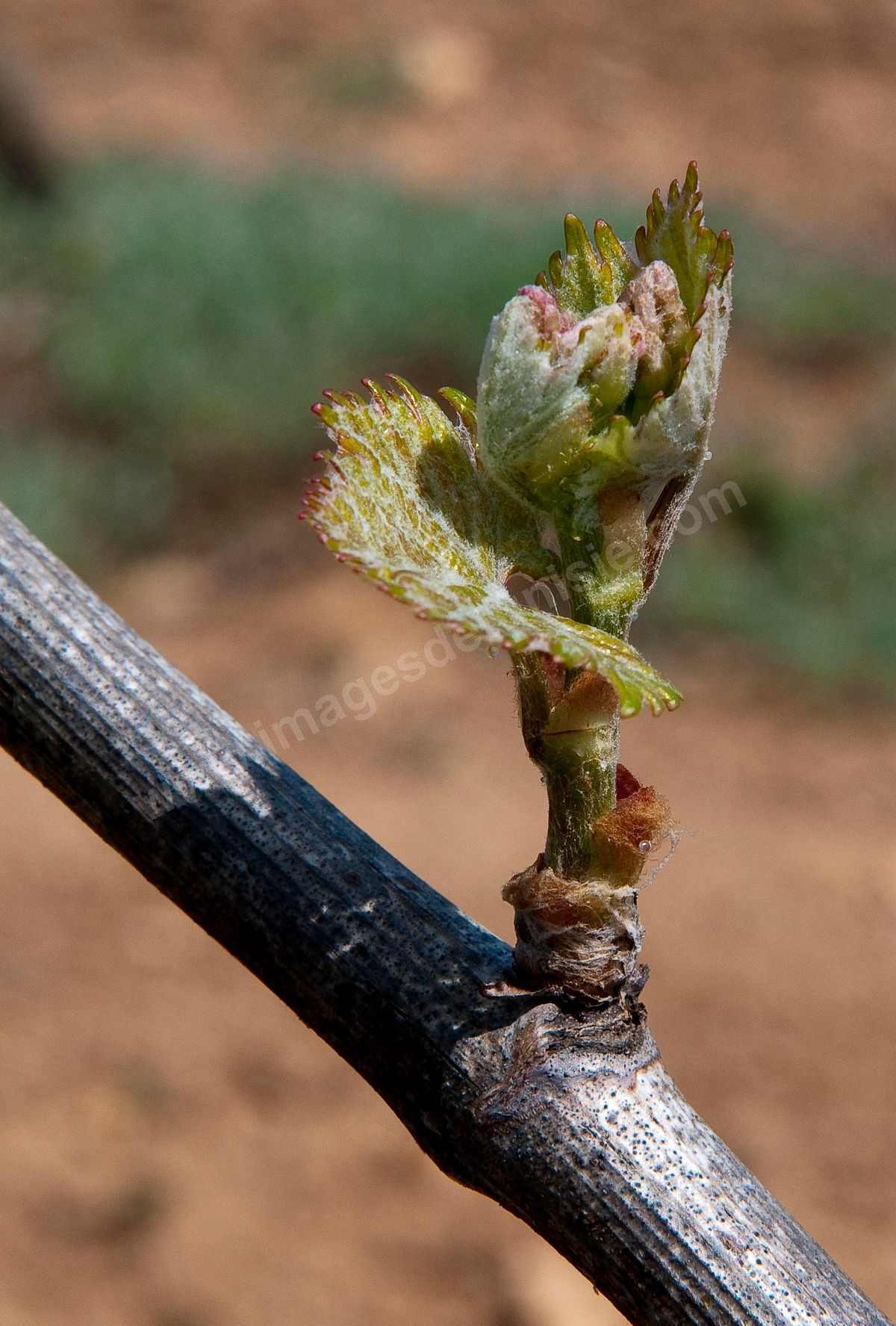 I33-505