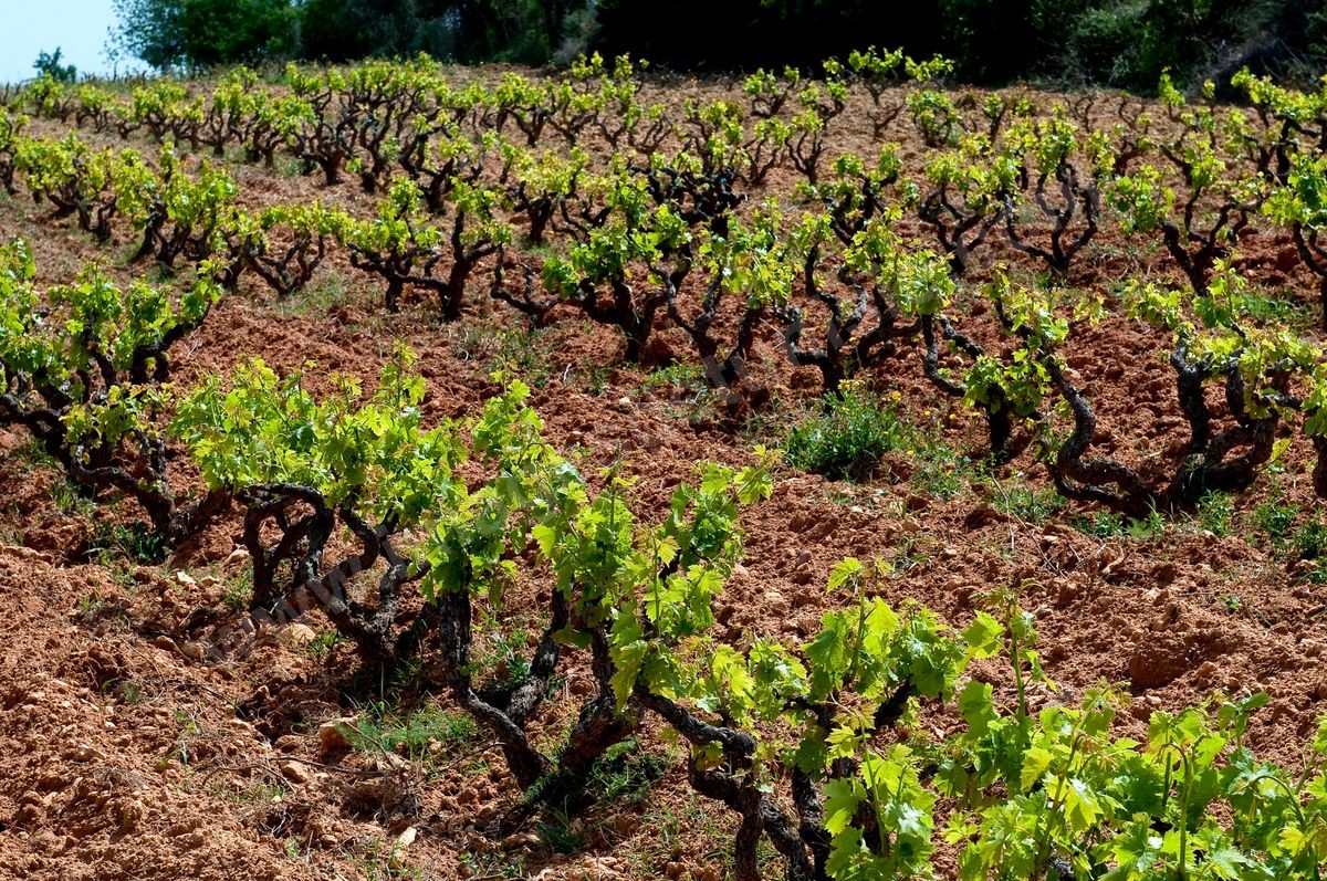 I33-523