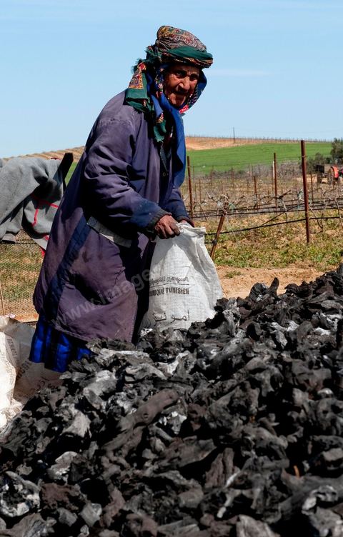 Production de charbon de bois à base de pieds de vignes dans une ferme au coeur du domaine Viticole Elissa - Tekelsa