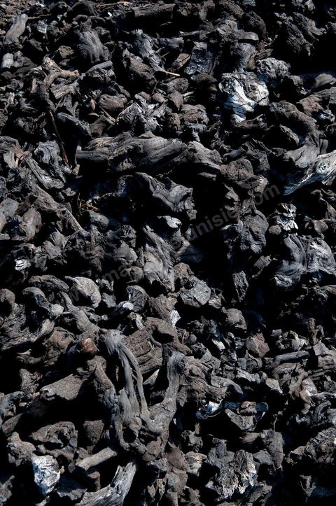 Production de charbon de bois à base de pieds de vignes dans une ferme au coeur du domaine Viticole Elissa - Tekelsa