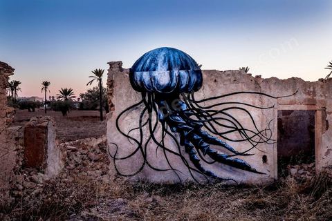 Oeuvre de l'artiste belge ROA pour le Projet DjerbaHood : après la Tour Paris 13, la team Itinerrance dépose ses valises dans un village traditionnel de l’île de Djerba, Erriadh. Depuis le début du mois de juillet, le village d’Erriadh se métamorphose petit à petit pour devenir un véritable musée à ciel ouvert. Une sélection d’artistes des quatre coins du monde ont été invités à s’exprimer dans ce décor unique à l’architecture authentique : murs blancs, portes bleues turquoises, dômes, veilles constructions et divers lieux abandonnés, autant de possibilités qui donneront naissance à des créations uniques aux couleurs locales.