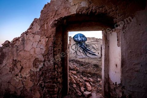 Oeuvre de l'artiste belge ROA pour le Projet DjerbaHood : après la Tour Paris 13, la team Itinerrance dépose ses valises dans un village traditionnel de l’île de Djerba, Erriadh. Depuis le début du mois de juillet, le village d’Erriadh se métamorphose petit à petit pour devenir un véritable musée à ciel ouvert. Une sélection d’artistes des quatre coins du monde ont été invités à s’exprimer dans ce décor unique à l’architecture authentique : murs blancs, portes bleues turquoises, dômes, veilles constructions et divers lieux abandonnés, autant de possibilités qui donneront naissance à des créations uniques aux couleurs locales.