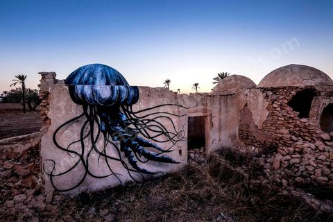 Oeuvre de l'artiste belge ROA pour le Projet DjerbaHood : après la Tour Paris 13, la team Itinerrance dépose ses valises dans un village traditionnel de l’île de Djerba, Erriadh. Depuis le début du mois de juillet, le village d’Erriadh se métamorphose petit à petit pour devenir un véritable musée à ciel ouvert. Une sélection d’artistes des quatre coins du monde ont été invités à s’exprimer dans ce décor unique à l’architecture authentique : murs blancs, portes bleues turquoises, dômes, veilles constructions et divers lieux abandonnés, autant de possibilités qui donneront naissance à des créations uniques aux couleurs locales.