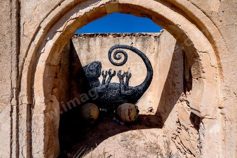 Oeuvre de l'artiste belge ROA pour le Projet DjerbaHood : après la Tour Paris 13, la team Itinerrance dépose ses valises dans un village traditionnel de l’île de Djerba, Erriadh. Depuis le début du mois de juillet, le village d’Erriadh se métamorphose petit à petit pour devenir un véritable musée à ciel ouvert. Une sélection d’artistes des quatre coins du monde ont été invités à s’exprimer dans ce décor unique à l’architecture authentique : murs blancs, portes bleues turquoises, dômes, veilles constructions et divers lieux abandonnés, autant de possibilités qui donneront naissance à des créations uniques aux couleurs locales.