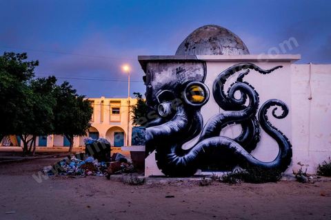 Oeuvre de l'artiste belge ROA pour le Projet DjerbaHood : après la Tour Paris 13, la team Itinerrance dépose ses valises dans un village traditionnel de l’île de Djerba, Erriadh. Depuis le début du mois de juillet, le village d’Erriadh se métamorphose petit à petit pour devenir un véritable musée à ciel ouvert. Une sélection d’artistes des quatre coins du monde ont été invités à s’exprimer dans ce décor unique à l’architecture authentique : murs blancs, portes bleues turquoises, dômes, veilles constructions et divers lieux abandonnés, autant de possibilités qui donneront naissance à des créations uniques aux couleurs locales.