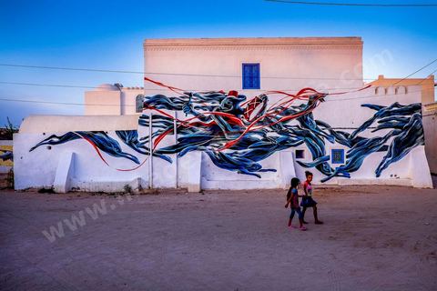 Oeuvre de l'artiste portugais PANTONIO pour le Projet DjerbaHood : après la Tour Paris 13, la team Itinerrance dépose ses valises dans un village traditionnel de l’île de Djerba, Erriadh. Depuis le début du mois de juillet, le village d’Erriadh se métamorphose petit à petit pour devenir un véritable musée à ciel ouvert. Une sélection d’artistes des quatre coins du monde ont été invités à s’exprimer dans ce décor unique à l’architecture authentique : murs blancs, portes bleues turquoises, dômes, veilles constructions et divers lieux abandonnés, autant de possibilités qui donneront naissance à des créations uniques aux couleurs locales.