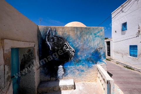 Oeuvre de l'artiste français C215 pour le Projet DjerbaHood : après la Tour Paris 13, la team Itinerrance dépose ses valises dans un village traditionnel de l’île de Djerba, Erriadh. Depuis le début du mois de juillet, le village d’Erriadh se métamorphose petit à petit pour devenir un véritable musée à ciel ouvert. Une sélection d’artistes des quatre coins du monde ont été invités à s’exprimer dans ce décor unique à l’architecture authentique : murs blancs, portes bleues turquoises, dômes, veilles constructions et divers lieux abandonnés, autant de possibilités qui donneront naissance à des créations uniques aux couleurs locales.