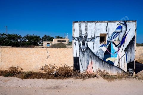 Oeuvres de l'artiste japonais TWOONE pour le Projet DjerbaHood : après la Tour Paris 13, la team Itinerrance dépose ses valises dans un village traditionnel de l’île de Djerba, Erriadh. Depuis le début du mois de juillet, le village d’Erriadh se métamorphose petit à petit pour devenir un véritable musée à ciel ouvert. Une sélection d’artistes des quatre coins du monde ont été invités à s’exprimer dans ce décor unique à l’architecture authentique : murs blancs, portes bleues turquoises, dômes, veilles constructions et divers lieux abandonnés, autant de possibilités qui donneront naissance à des créations uniques aux couleurs locales.