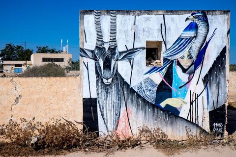 Oeuvres de l'artiste japonais TWOONE pour le Projet DjerbaHood : après la Tour Paris 13, la team Itinerrance dépose ses valises dans un village traditionnel de l’île de Djerba, Erriadh. Depuis le début du mois de juillet, le village d’Erriadh se métamorphose petit à petit pour devenir un véritable musée à ciel ouvert. Une sélection d’artistes des quatre coins du monde ont été invités à s’exprimer dans ce décor unique à l’architecture authentique : murs blancs, portes bleues turquoises, dômes, veilles constructions et divers lieux abandonnés, autant de possibilités qui donneront naissance à des créations uniques aux couleurs locales.