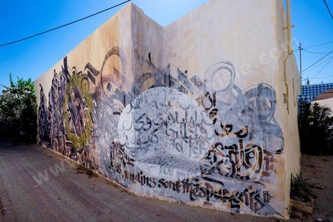 Oeuvres de l'artiste français ZEPHA pour le Projet DjerbaHood : après la Tour Paris 13, la team Itinerrance dépose ses valises dans un village traditionnel de l’île de Djerba, Erriadh. Depuis le début du mois de juillet, le village d’Erriadh se métamorphose petit à petit pour devenir un véritable musée à ciel ouvert. Une sélection d’artistes des quatre coins du monde ont été invités à s’exprimer dans ce décor unique à l’architecture authentique : murs blancs, portes bleues turquoises, dômes, veilles constructions et divers lieux abandonnés, autant de possibilités qui donneront naissance à des créations uniques aux couleurs locales.