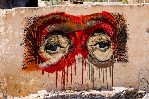 Oeuvres de l'artiste italien ORTICANOODLES pour le Projet DjerbaHood : après la Tour Paris 13, la team Itinerrance dépose ses valises dans un village traditionnel de l’île de Djerba, Erriadh. Depuis le début du mois de juillet, le village d’Erriadh se métamorphose petit à petit pour devenir un véritable musée à ciel ouvert. Une sélection d’artistes des quatre coins du monde ont été invités à s’exprimer dans ce décor unique à l’architecture authentique : murs blancs, portes bleues turquoises, dômes, veilles constructions et divers lieux abandonnés, autant de possibilités qui donneront naissance à des créations uniques aux couleurs locales.