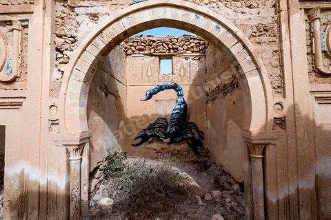 20 septembre 2014 : inauguration de DjerbaHood