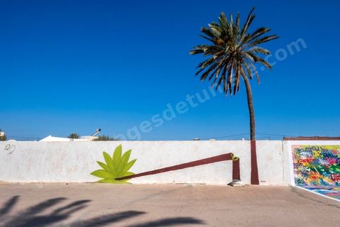 Oeuvres de l'artiste polonais M-CITY pour le Projet DjerbaHood : après la Tour Paris 13, la team Itinerrance dépose ses valises dans un village traditionnel de l’île de Djerba, Erriadh. Depuis le début du mois de juillet, le village d’Erriadh se métamorphose petit à petit pour devenir un véritable musée à ciel ouvert. Une sélection d’artistes des quatre coins du monde ont été invités à s’exprimer dans ce décor unique à l’architecture authentique : murs blancs, portes bleues turquoises, dômes, veilles constructions et divers lieux abandonnés, autant de possibilités qui donneront naissance à des créations uniques aux couleurs locales.