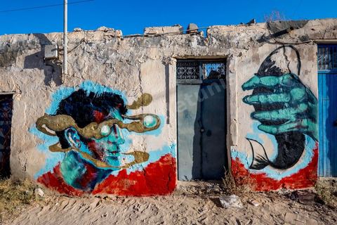 Oeuvres de l'artiste egyptien AYA TAREK pour le Projet DjerbaHood : après la Tour Paris 13, la team Itinerrance dépose ses valises dans un village traditionnel de l’île de Djerba, Erriadh. Depuis le début du mois de juillet, le village d’Erriadh se métamorphose petit à petit pour devenir un véritable musée à ciel ouvert. Une sélection d’artistes des quatre coins du monde ont été invités à s’exprimer dans ce décor unique à l’architecture authentique : murs blancs, portes bleues turquoises, dômes, veilles constructions et divers lieux abandonnés, autant de possibilités qui donneront naissance à des créations uniques aux couleurs locales.
