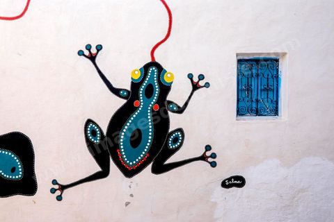 Oeuvres de l'artiste tunisienne SALMA pour le Projet DjerbaHood : après la Tour Paris 13, la team Itinerrance dépose ses valises dans un village traditionnel de l’île de Djerba, Erriadh. Depuis le début du mois de juillet, le village d’Erriadh se métamorphose petit à petit pour devenir un véritable musée à ciel ouvert. Une sélection d’artistes des quatre coins du monde ont été invités à s’exprimer dans ce décor unique à l’architecture authentique : murs blancs, portes bleues turquoises, dômes, veilles constructions et divers lieux abandonnés, autant de possibilités qui donneront naissance à des créations uniques aux couleurs locales.