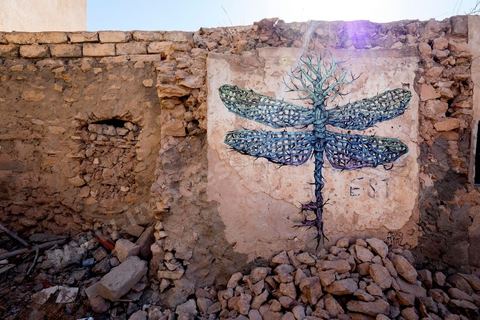 Oeuvres de l'artiste puerto ricain ALEXIS DIAZ pour le Projet DjerbaHood : après la Tour Paris 13, la team Itinerrance dépose ses valises dans un village traditionnel de l’île de Djerba, Erriadh. Depuis le début du mois de juillet, le village d’Erriadh se métamorphose petit à petit pour devenir un véritable musée à ciel ouvert. Une sélection d’artistes des quatre coins du monde ont été invités à s’exprimer dans ce décor unique à l’architecture authentique : murs blancs, portes bleues turquoises, dômes, veilles constructions et divers lieux abandonnés, autant de possibilités qui donneront naissance à des créations uniques aux couleurs locales.