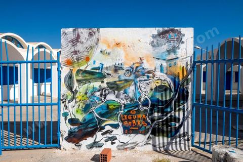 Oeuvres des artistes espagnols LAGUNA et SEBAS VELASCO pour le Projet DjerbaHood : après la Tour Paris 13, la team Itinerrance dépose ses valises dans un village traditionnel de l’île de Djerba, Erriadh. Depuis le début du mois de juillet, le village d’Erriadh se métamorphose petit à petit pour devenir un véritable musée à ciel ouvert. Une sélection d’artistes des quatre coins du monde ont été invités à s’exprimer dans ce décor unique à l’architecture authentique : murs blancs, portes bleues turquoises, dômes, veilles constructions et divers lieux abandonnés, autant de possibilités qui donneront naissance à des créations uniques aux couleurs locales.