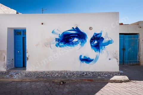 Oeuvres de l'artiste français DAN23 pour le Projet DjerbaHood : après la Tour Paris 13, la team Itinerrance dépose ses valises dans un village traditionnel de l’île de Djerba, Erriadh. Depuis le début du mois de juillet, le village d’Erriadh se métamorphose petit à petit pour devenir un véritable musée à ciel ouvert. Une sélection d’artistes des quatre coins du monde ont été invités à s’exprimer dans ce décor unique à l’architecture authentique : murs blancs, portes bleues turquoises, dômes, veilles constructions et divers lieux abandonnés, autant de possibilités qui donneront naissance à des créations uniques aux couleurs locales.