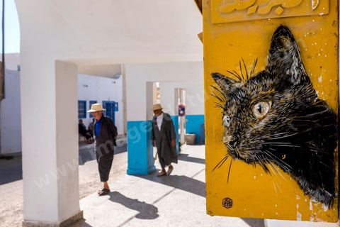 Oeuvre de l'artiste français C215 pour le Projet DjerbaHood : après la Tour Paris 13, la team Itinerrance dépose ses valises dans un village traditionnel de l’île de Djerba, Erriadh. Depuis le début du mois de juillet, le village d’Erriadh se métamorphose petit à petit pour devenir un véritable musée à ciel ouvert. Une sélection d’artistes des quatre coins du monde ont été invités à s’exprimer dans ce décor unique à l’architecture authentique : murs blancs, portes bleues turquoises, dômes, veilles constructions et divers lieux abandonnés, autant de possibilités qui donneront naissance à des créations uniques aux couleurs locales.