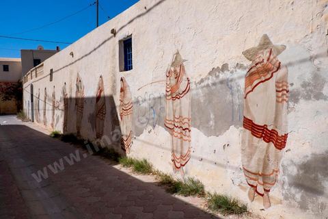Oeuvres de l'artiste argentin HYURO pour le Projet DjerbaHood : après la Tour Paris 13, la team Itinerrance dépose ses valises dans un village traditionnel de l’île de Djerba, Erriadh. Depuis le début du mois de juillet, le village d’Erriadh se métamorphose petit à petit pour devenir un véritable musée à ciel ouvert. Une sélection d’artistes des quatre coins du monde ont été invités à s’exprimer dans ce décor unique à l’architecture authentique : murs blancs, portes bleues turquoises, dômes, veilles constructions et divers lieux abandonnés, autant de possibilités qui donneront naissance à des créations uniques aux couleurs locales.