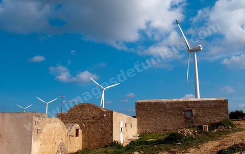 Champ d'éoliennes de la STEG à Sidi Daoud au nord du Cap Bon