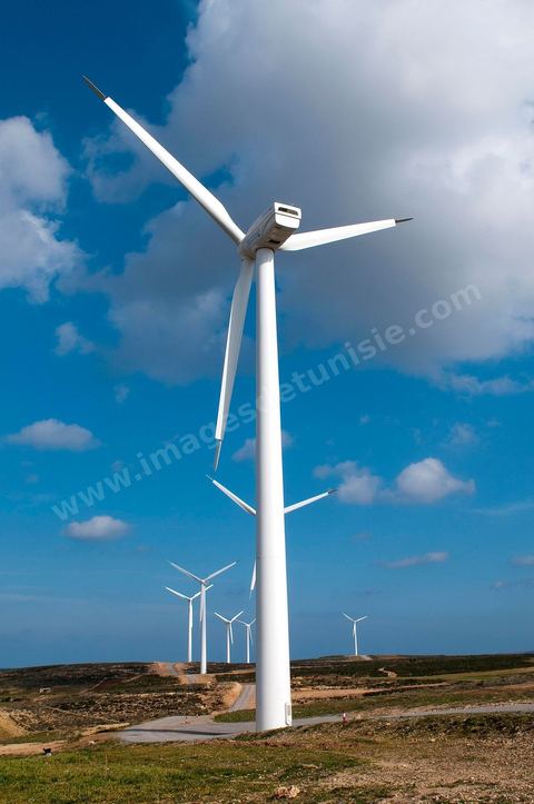 Champ d'éoliennes de la STEG à Sidi Daoud au nord du Cap Bon