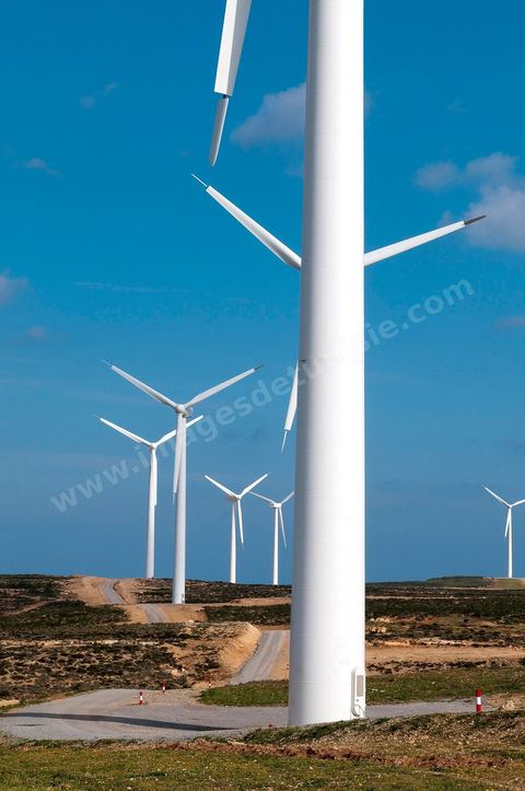 Champ d'éoliennes de la STEG à Sidi Daoud au nord du Cap Bon