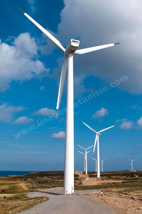 Champ d'éoliennes de la STEG à Sidi Daoud au nord du Cap Bon