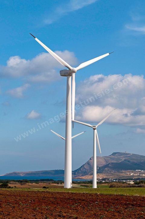 Champ d'éoliennes de la STEG à Sidi Daoud au nord du Cap Bon