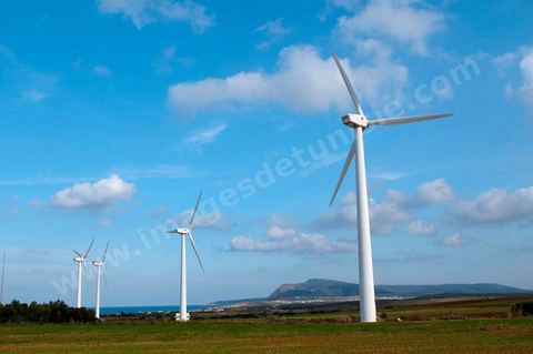 Champ d'éoliennes de la STEG à Sidi Daoud au nord du Cap Bon