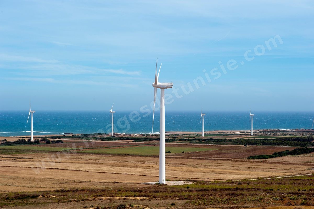 Champ d'éoliennes de la STEG à Sidi Daoud au nord du Cap Bon